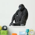 thumbnail image 1 of Young Silverback Gorilla Wall Decal by Wallmonkeys Peel and Stick Graphic (48 in H x 42 in W) WM321589, 1 of 4
