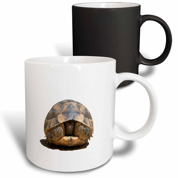 3drose, Young Spur Thighed Tortoise Looking Out of Its Shell Cut Out, 11oz Magic Transforming Mug