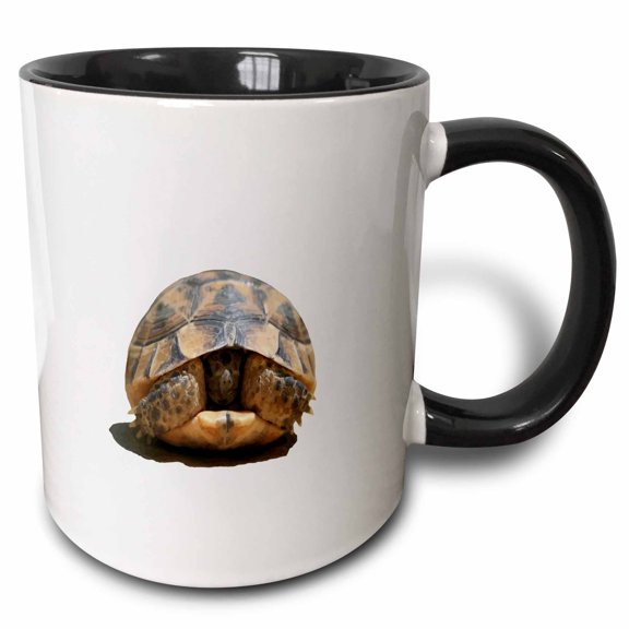 3drose, Young Spur Thighed Tortoise Looking Out of Its Shell Cut Out, 11oz Two-tone Black Mug