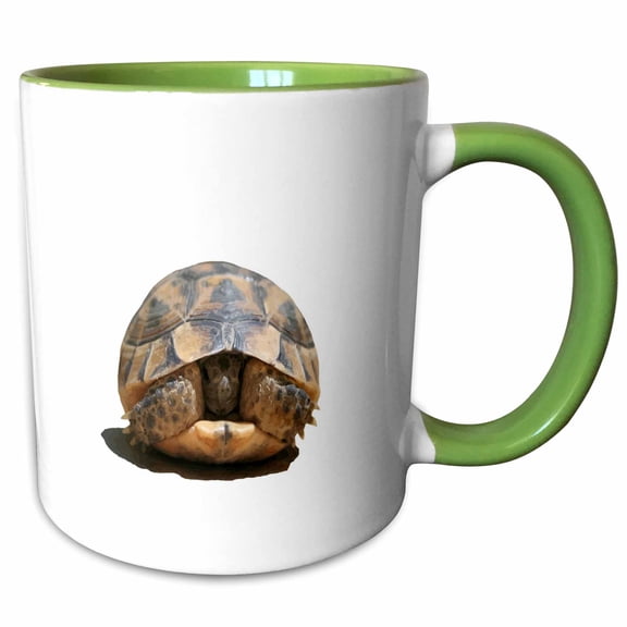 3drose, Young Spur Thighed Tortoise Looking Out of Its Shell Cut Out, 11oz Two-tone Green Mug