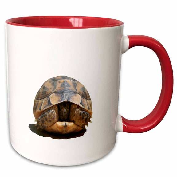 3drose, Young Spur Thighed Tortoise Looking Out of Its Shell Cut Out, 11oz Two-tone Red Mug