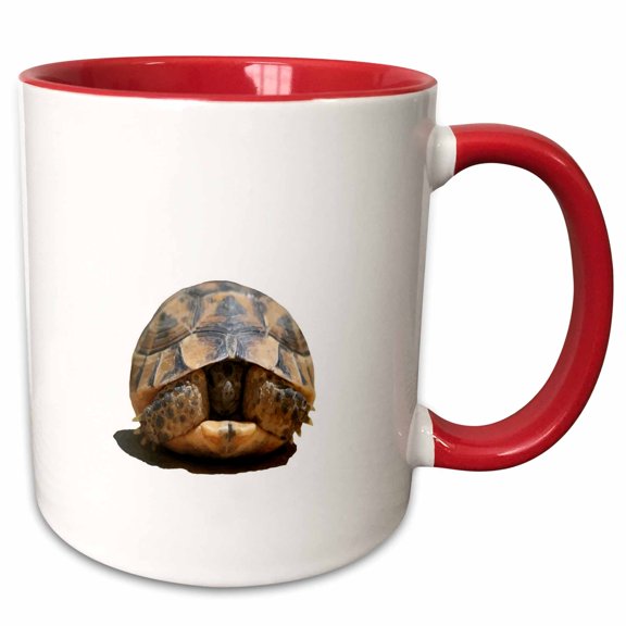 3drose, Young Spur Thighed Tortoise Looking Out of Its Shell Cut Out, 11oz Two-tone Red Mug