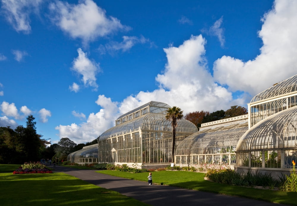 Young Toddler by the mid-nineteenth century Curvilinear Glasshouse The National Botanic Gardens Dublin City Ireland Canvas Art - Panoramic Images (25 x 36)