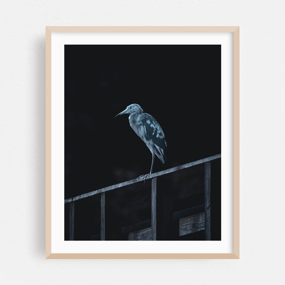 To Be Young Again - West Palm Beach Florida Photography Bird Wildlife Moody Night Sky Silhouette Nature Mystical Oak Framed Wall Art Print 18 x 24 inches