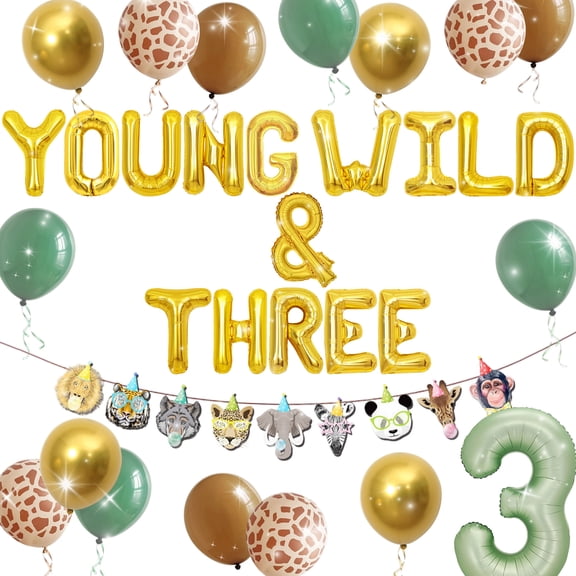 Young Wild & Three 3rd Birthday Party Decorations - Wild Theme All-in-One Set with Animal Banner & Balloons