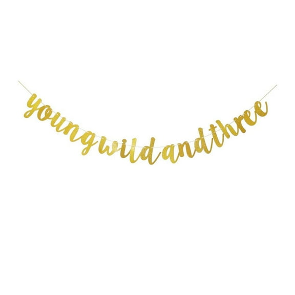 Young Wild and Three Banner, Gold Birthday Party Sign Bunting, Boy's Or Girl's 3rd Birthday Party Decorations
