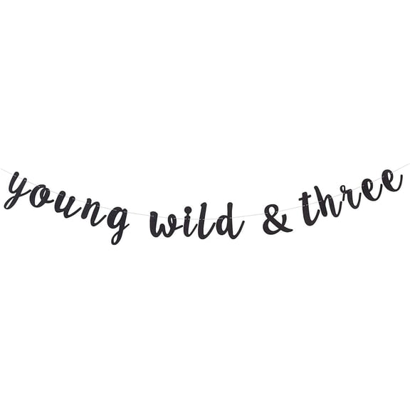 Young Wild and Three Banner Kid's Third Birthday Party Garland - Glitter Black - 1 Strand