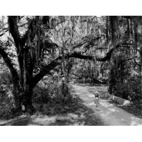 Young Woman in Park Poster Print - 18 x 24 in.