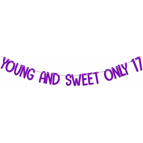 Young and Sweet Only 17 Banner, Happy 17th Birthday Party Decorations, Dancing Queen 17, Cheers to 17 Years Anniversary Party Supplies Purple