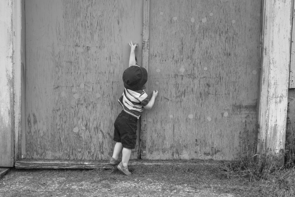 Young boy trying to open barn door Farnham Quebec Canada Canvas Art - David Chapman Design Pics (19 x 12)