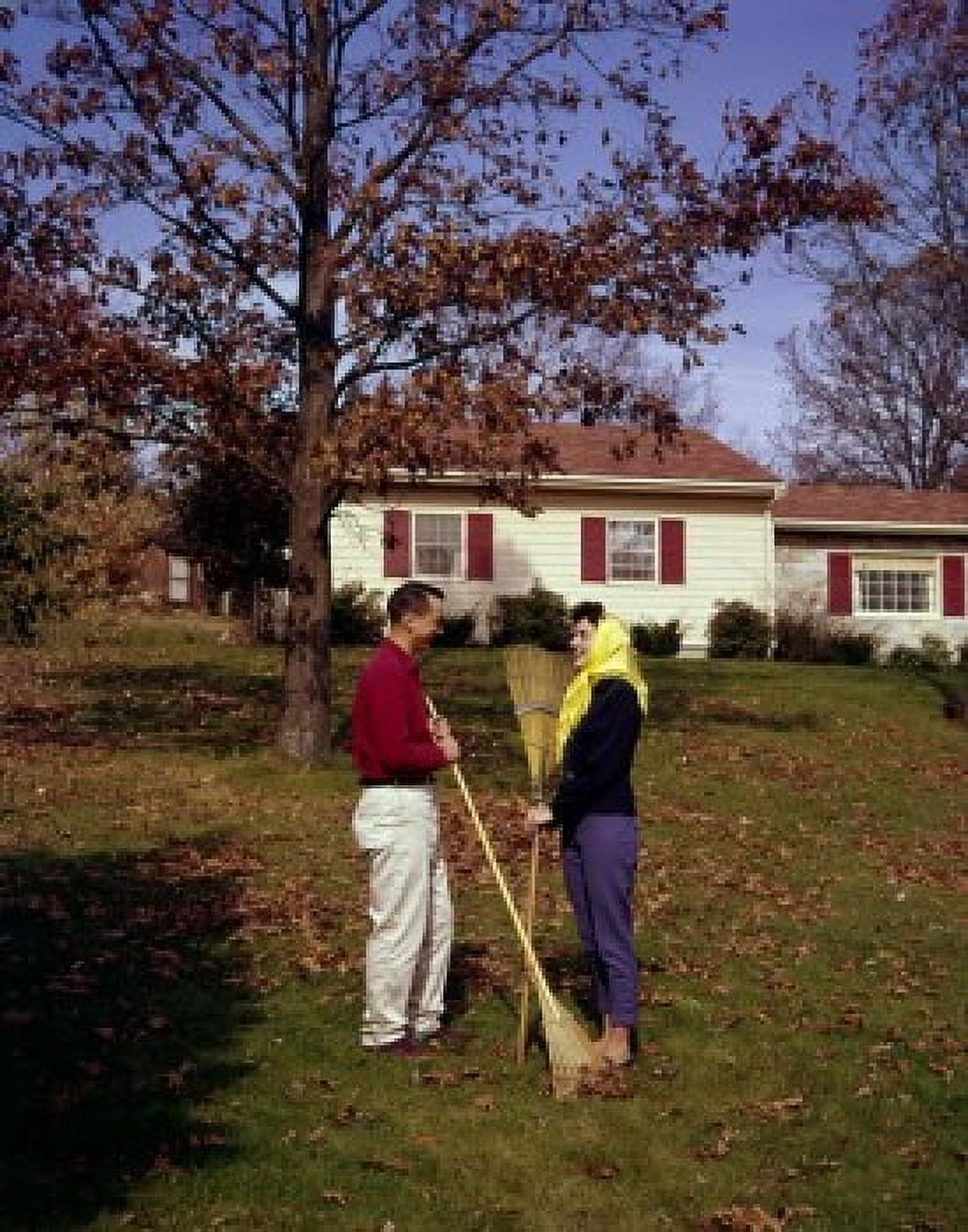 Young couple raking leaves in backyard Canvas Art - (18 x 24)