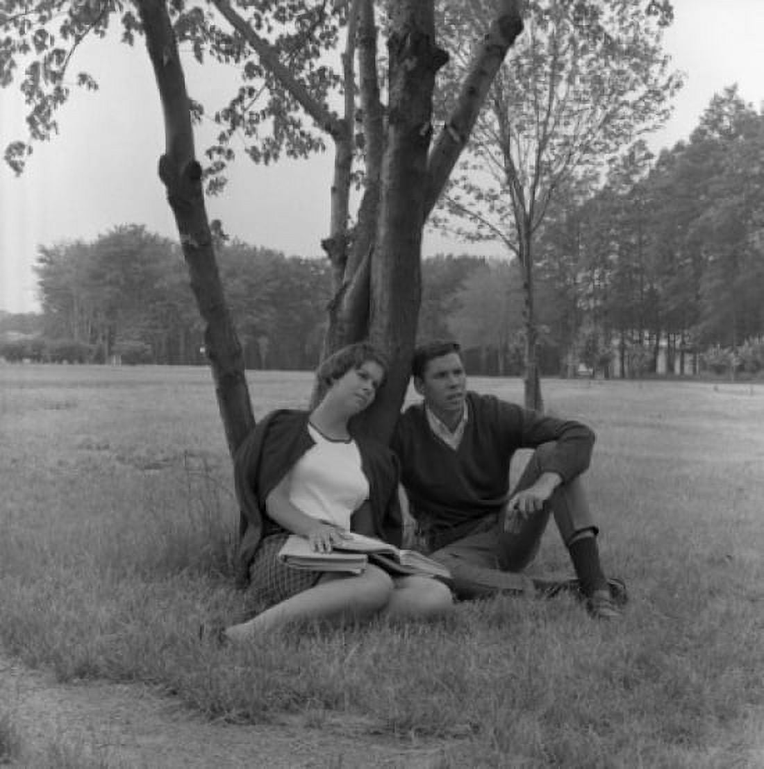 Young couple sitting under tree Canvas Art - (24 x 36)