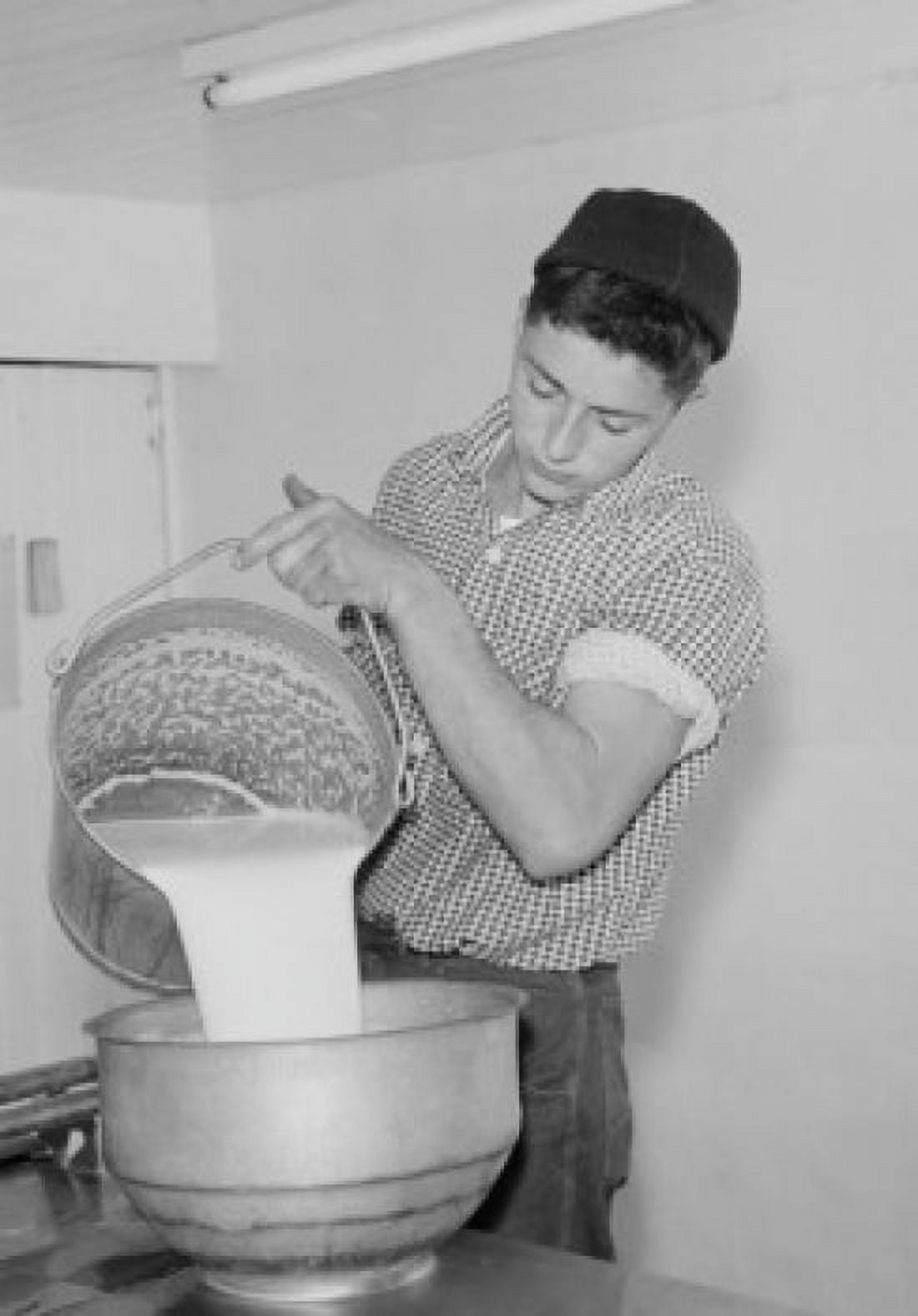 Young man straining milk into milk churn Canvas Art - (24 x 36)