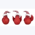 thumbnail image 1 of Young's Inc 94558 - Resin Christmas Birds Tabletop, 3 Ast, 1 of 2