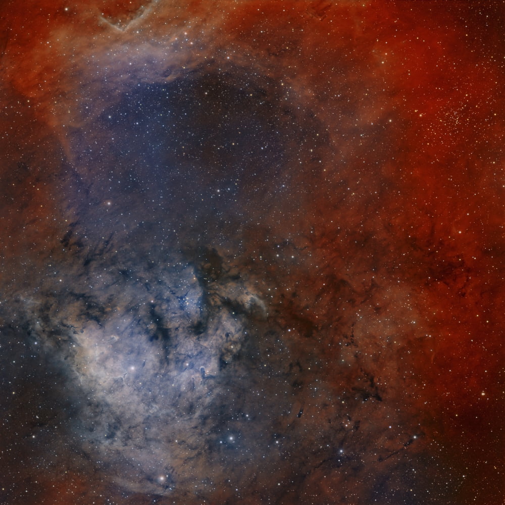 Young star-forming complex NGC 7822 Canvas Art - Rolf GeissingerStocktrek Images (28 x 28)