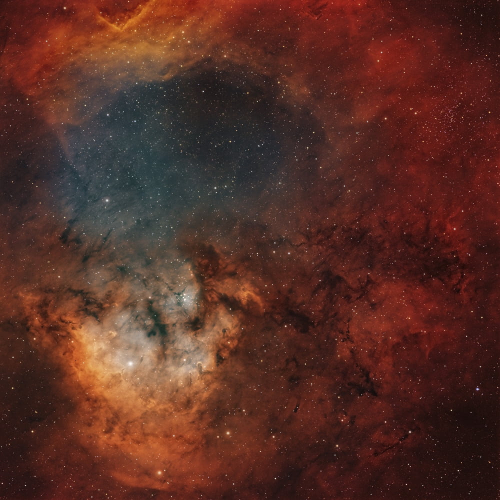 Young star-forming complex NGC 7822 Canvas Art - Rolf GeissingerStocktrek Images (28 x 28)