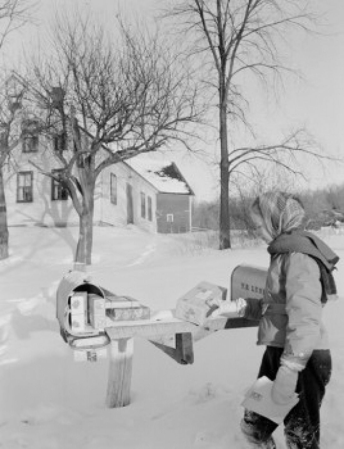 Young woman checking mail box Canvas Art - (18 x 24)