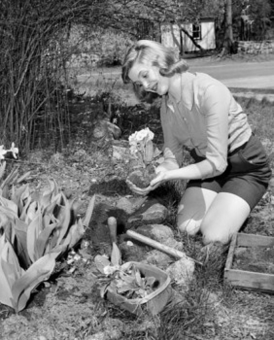 Young woman gardening Canvas Art - (18 x 24)