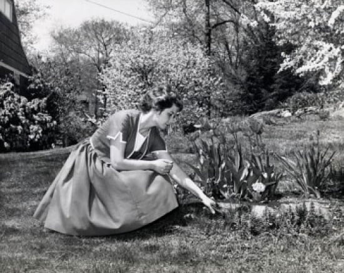 Young woman gardening Canvas Art - (18 x 24)