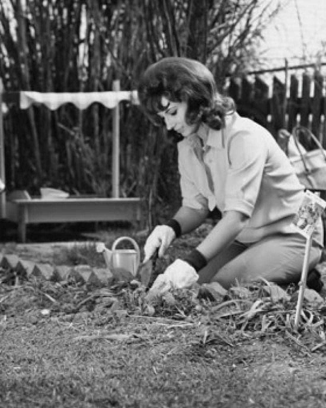 Young woman gardening Canvas Art - (18 x 24)