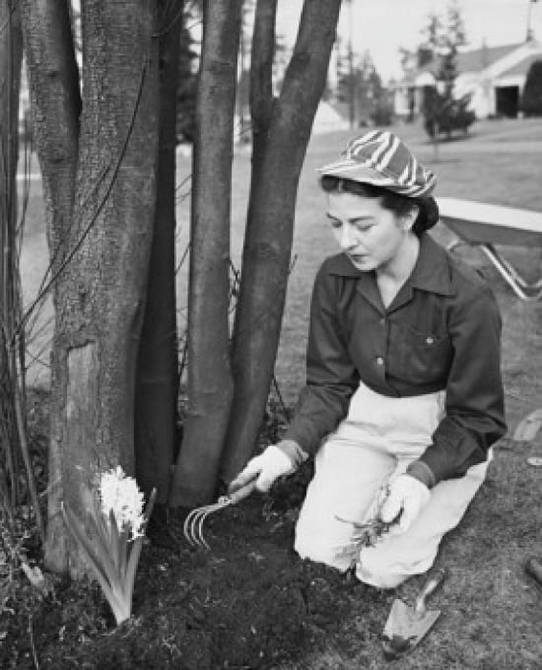 Young woman gardening Canvas Art - (18 x 24)