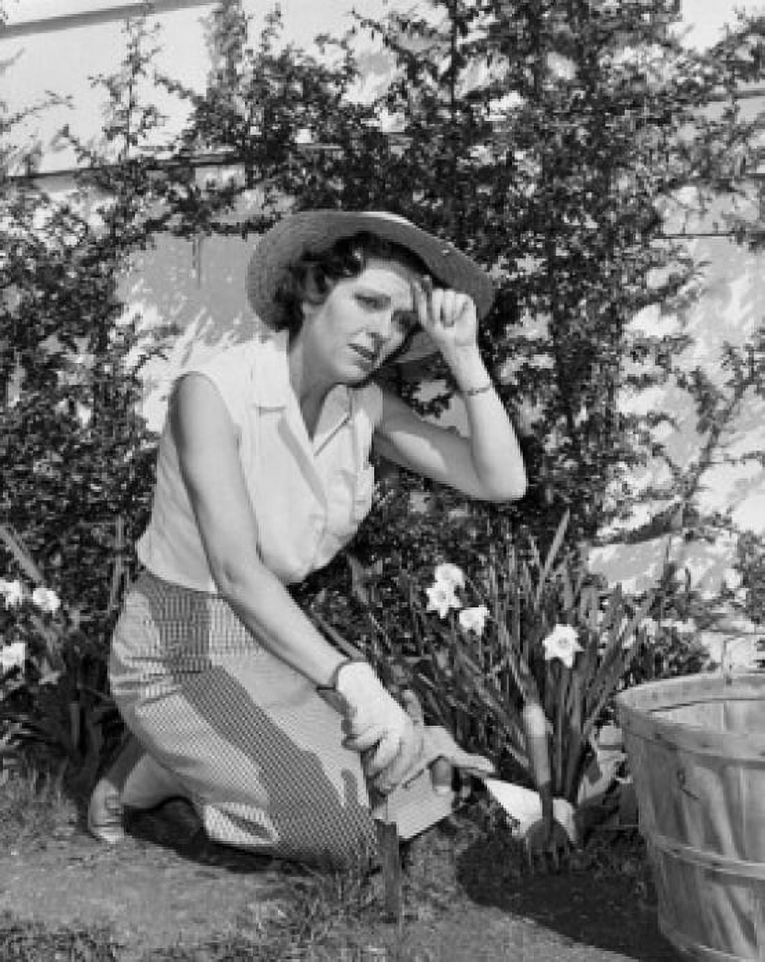 Young woman gardening Canvas Art - (24 x 36)