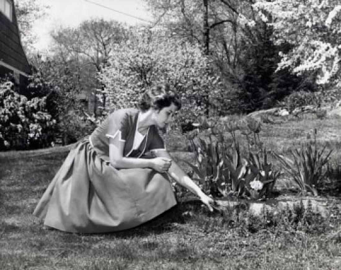 Young woman gardening Canvas Art - (24 x 36)