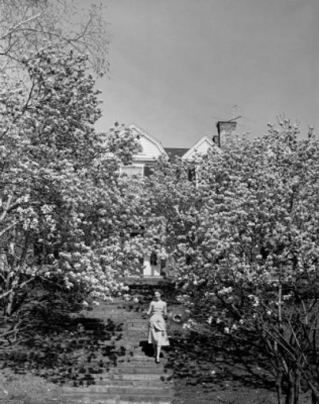 Young woman in orchard behind house Canvas Art - (24 x 36)