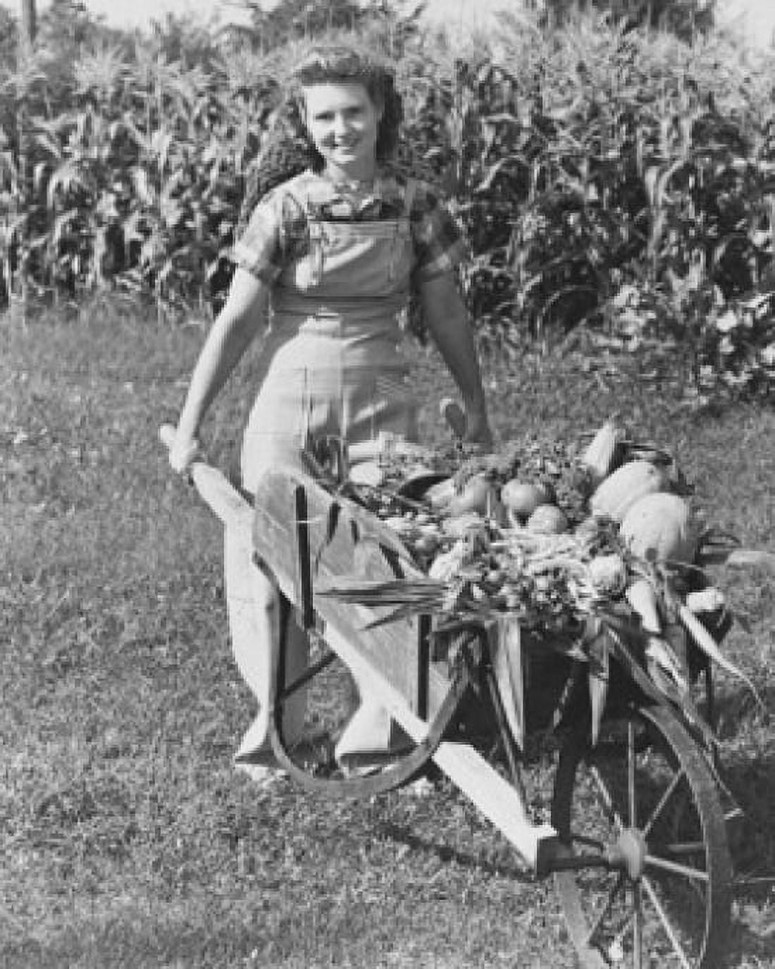 Young woman pushing a wheelbarrow with assorted vegetables in it Canvas Art -  (18 x 24)