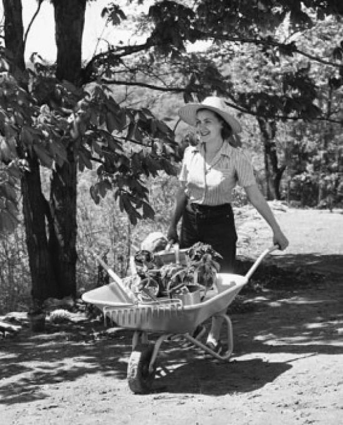 Young woman pushing a wheelbarrow with gardening tools in it Canvas Art - (18 x 24)