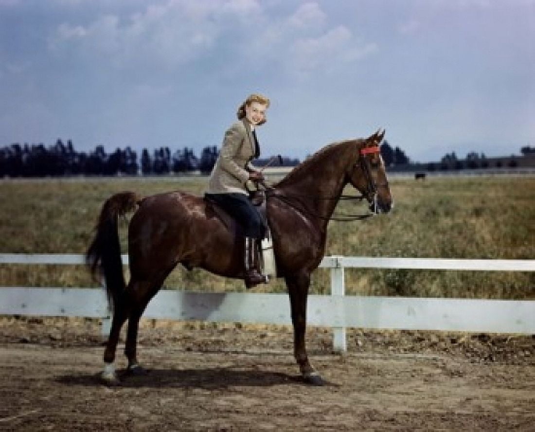 Young woman riding a horse Canvas Art - (24 x 36)