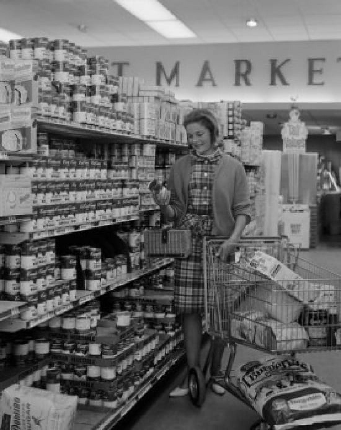 Young woman shopping in supermarket Canvas Art - (18 x 24)