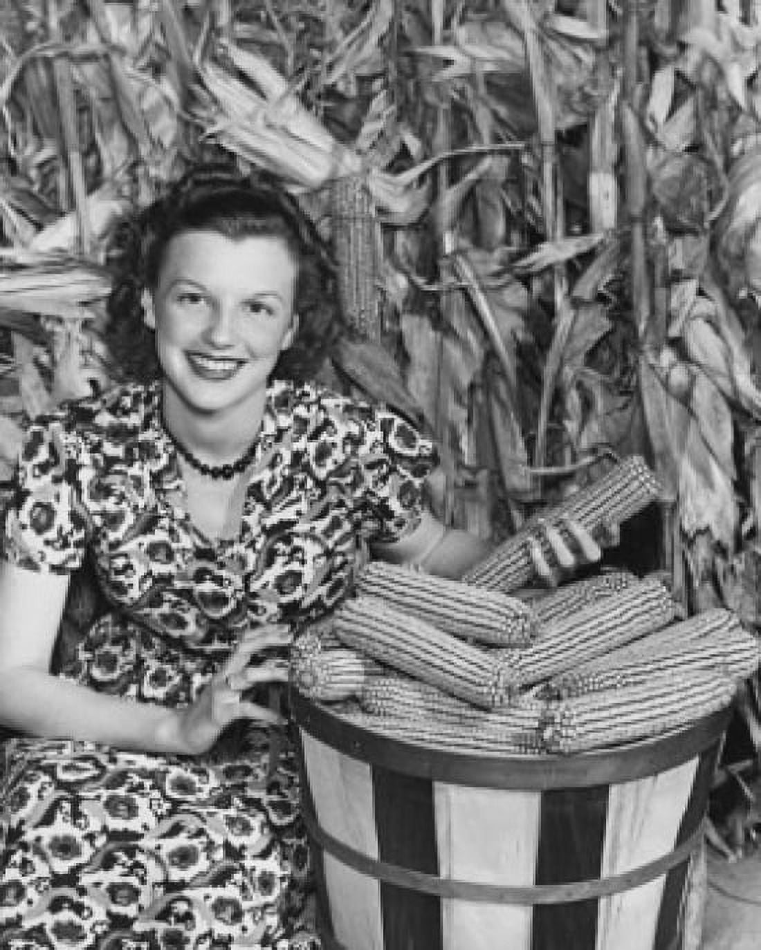 Young woman sitting beside a basket of corn in a corn field Canvas Art - (18 x 24)