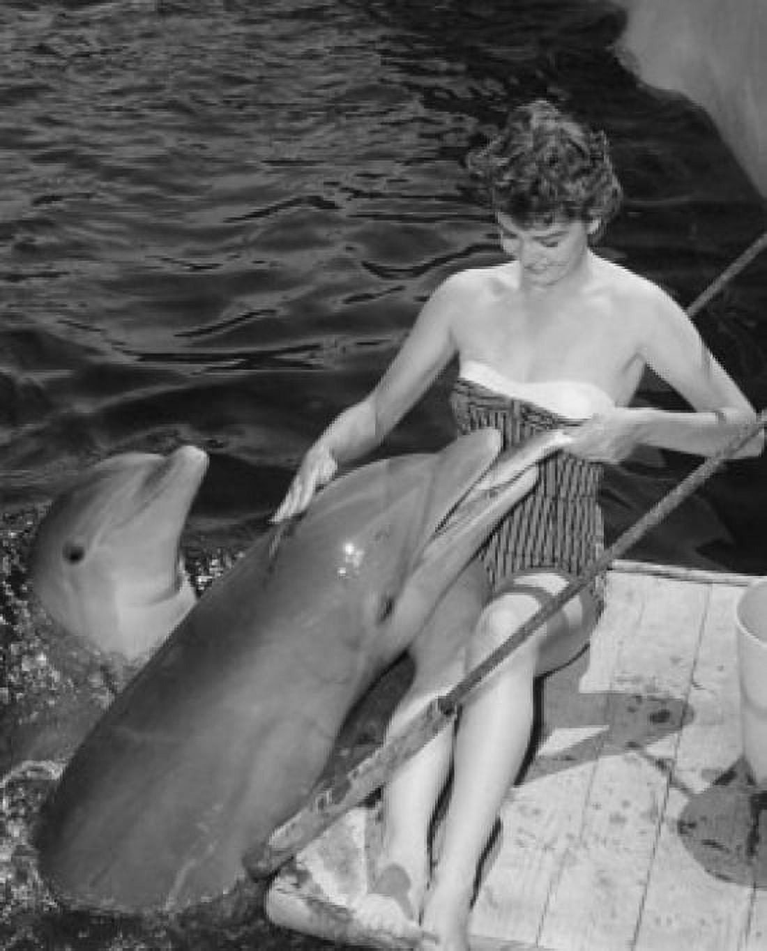 Young woman sitting on a wooden platform and feeding fish to dolphins in a zoo Canvas Art - (18 x 24)