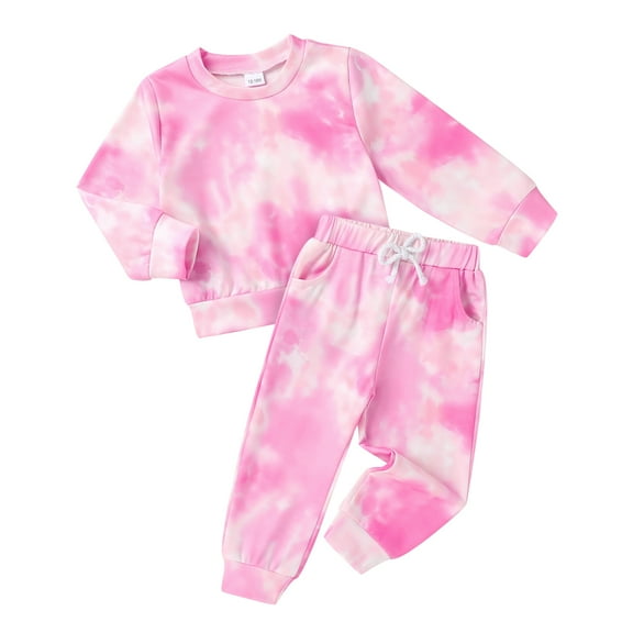 Younger Tree Toddler Baby Girl Sweatshirt Set Kid Fall Long Sleeve Crew Neck Sweatsuit Clothes Outfits for 18-24 Months