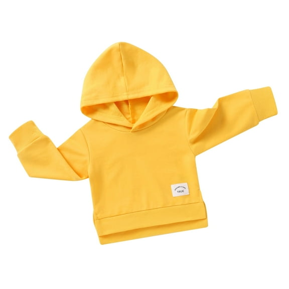 Younger Tree Toddler Baby Hooded Sweatshirt Girl Boy Winter Long Sleeve Pullover Blouse Top Clothes for 18-24 Months