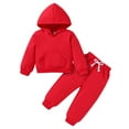 thumbnail image 1 of Younger Tree Toddler Fall Outfits for Girl Boy Long Sleeve Hoodie Top and Long Sweatpants Set Toddler Sweatsuit for 12-18 Months, 1 of 8
