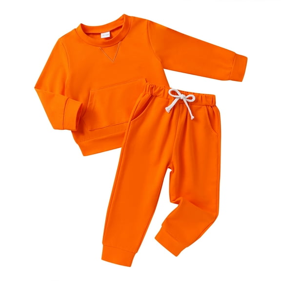 Younger Tree Toddler Fall Outfits for Girl Long Sleeve Sweatsuit Top and Sweatpants Set Baby Girl Winter Clothes for 3-4T