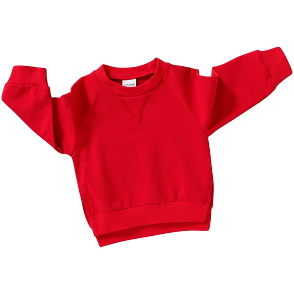 Younger Tree Toddler Sweatshirt Baby Boy Girl Fall Winter Clothes Outfits Long Sleeve Crew Neck Solid Color Top Pullover Blouse Shirt for 18-24 Months