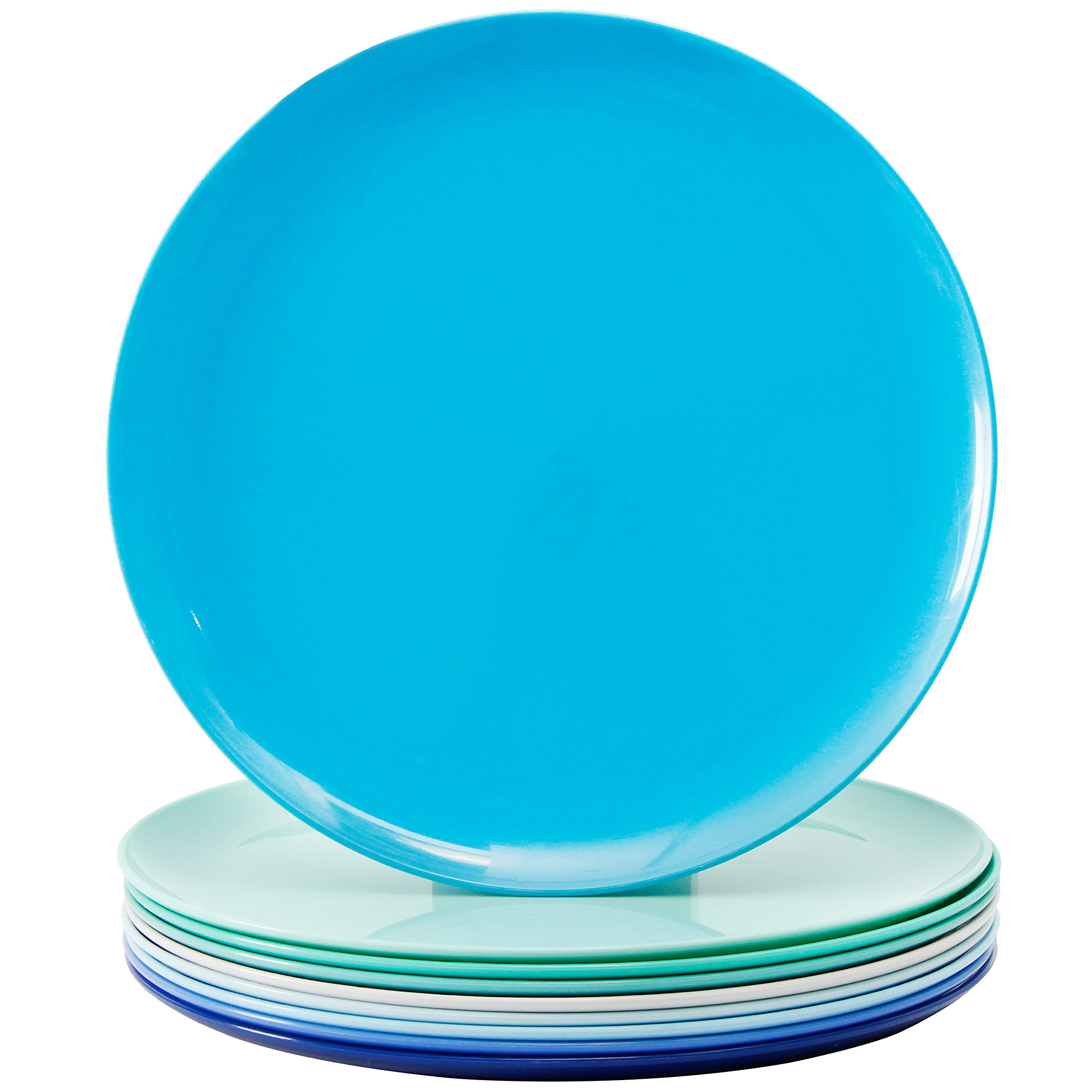 Youngever 10 Inch Plastic Plates, Large Plates, Dinner Plates, Set of 9 ...