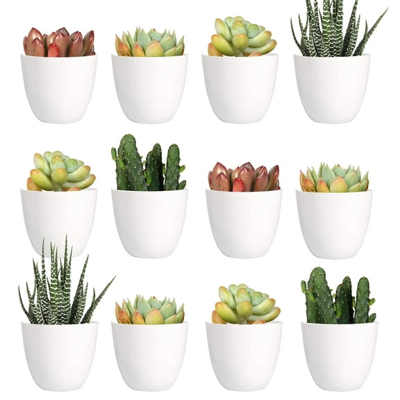 Youngever 24 Pack 2 Inch Mini Plastic Planters, Indoor Flower Plant Pots, White Gardening Pot with Drainage - NO Plant Included (Modern)