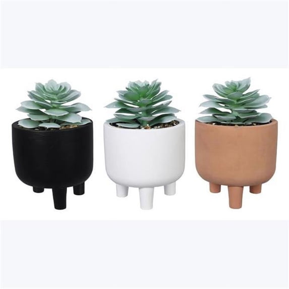 Youngs 12045 6.69 in. Cement Planter with Greenery, Assorted Style - Set of 3