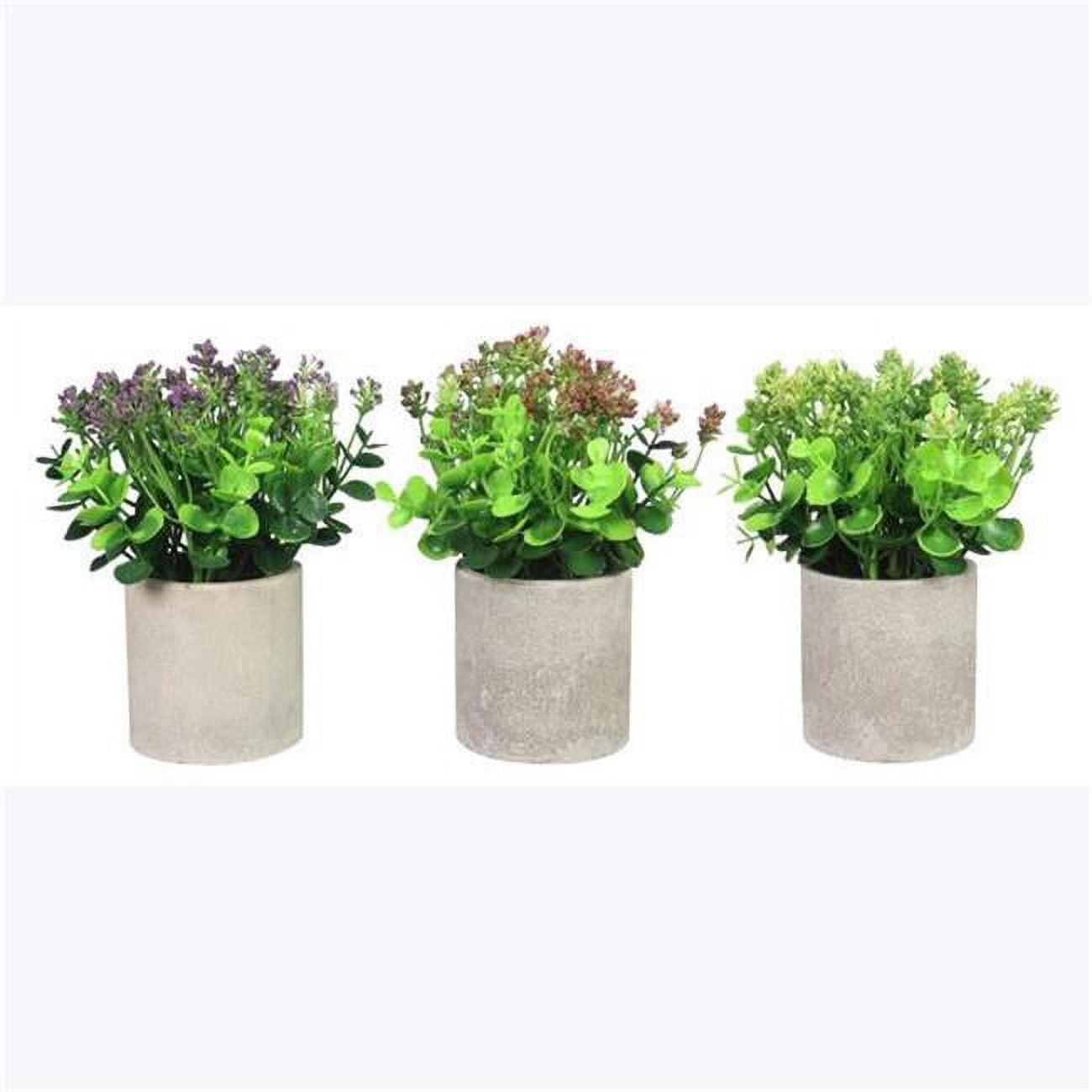 Youngs 12607 Artificial Plants in Planter 3 Assorted
