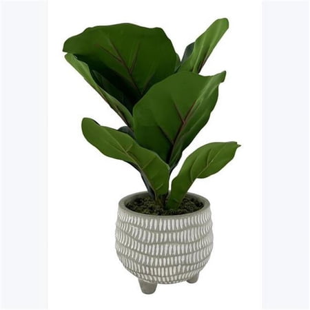 Youngs 12666 12 in. Artificial Rohdea Plant in Cement Pot