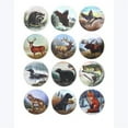 thumbnail image 1 of Youngs 12671 Resin Wildlife Magnet, 12 Assorted Style, 1 of 1