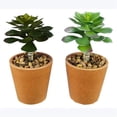 thumbnail image 1 of Youngs 20962 Artificial Succulents in Terracotta Like Pot - 2 Assorted, 1 of 1