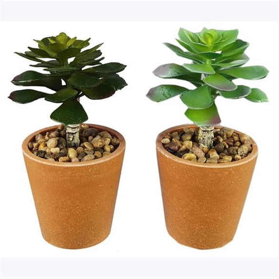 Youngs 20962 Artificial Succulents in Terracotta Like Pot - 2 Assorted