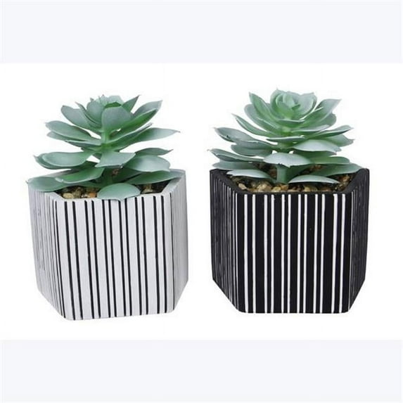 Youngs 6.3 in. Cement Planter with Greenery, Assorted Style - Set of 2