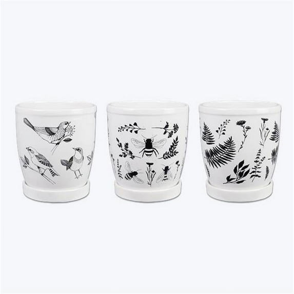 Youngs 71444 Ceramic Planter, Assorted Color - 3 Piece
