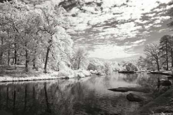 Youngs Pond Canvas Art - Alan Hausenflock (20 x 28)